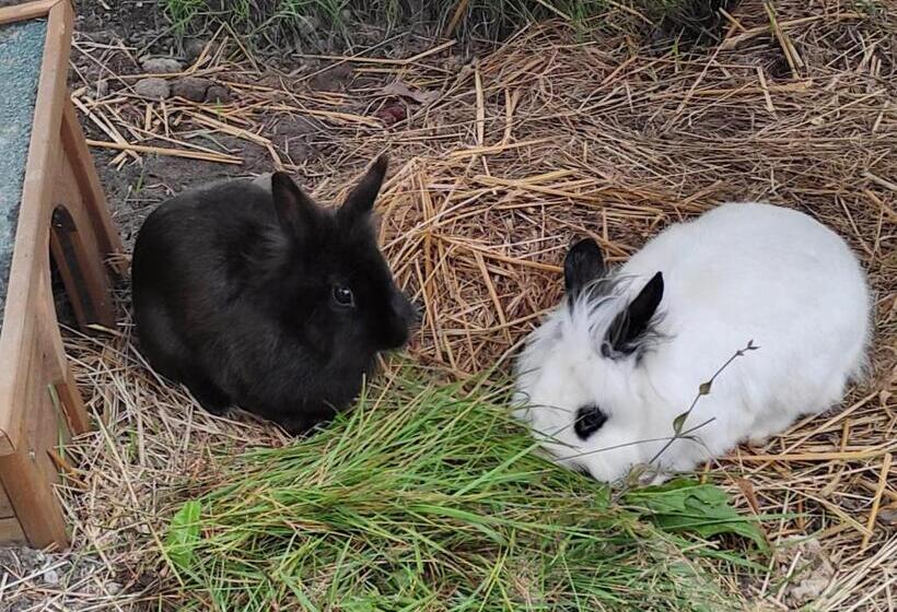 住宿加早餐  La Maison Bett & Bike