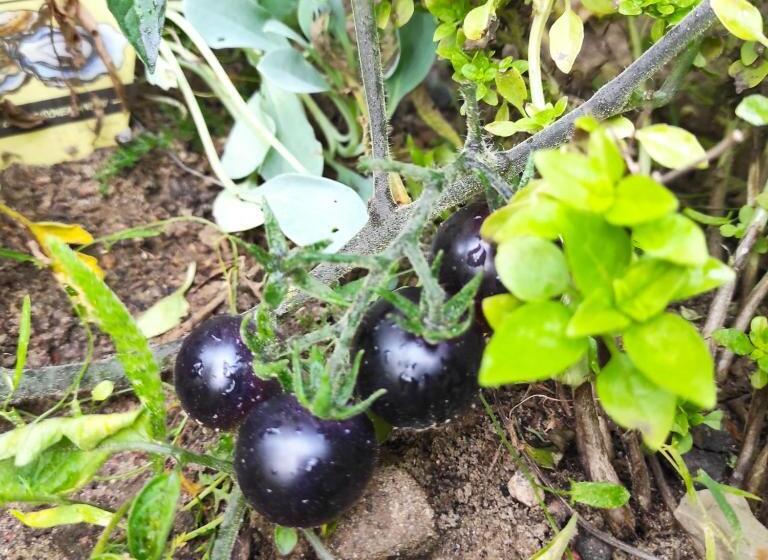 住宿加早餐  La Maison Bett & Bike