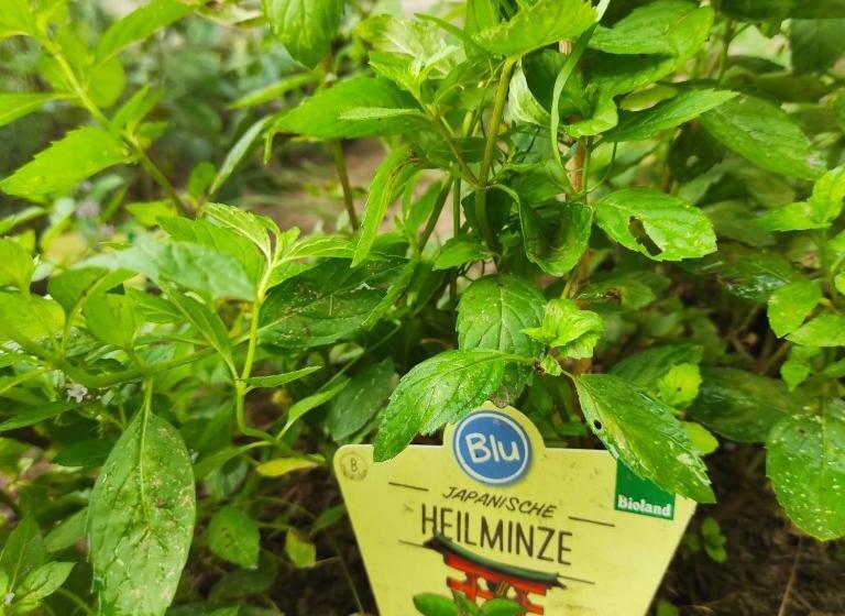 住宿加早餐  La Maison Bett & Bike