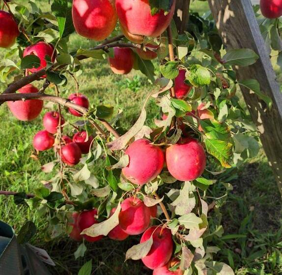 住宿加早餐  La Maison Bett & Bike