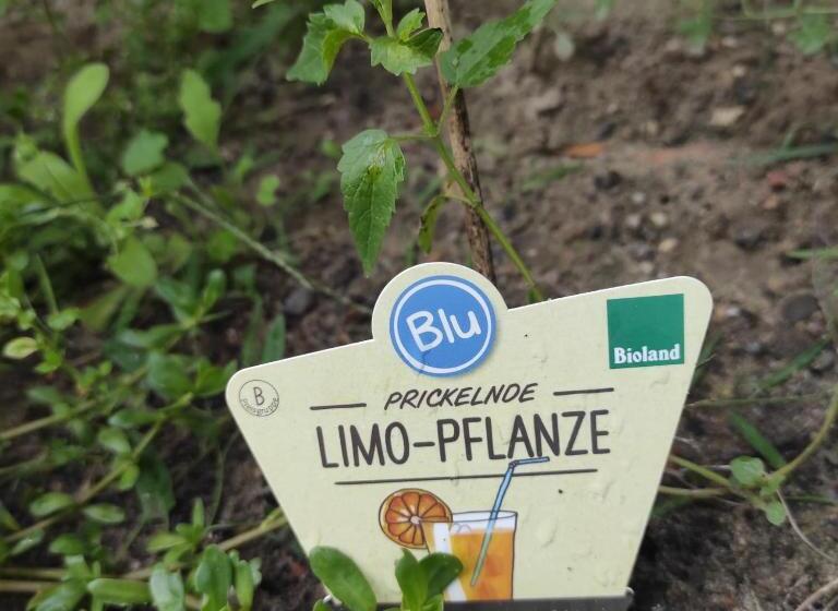 住宿加早餐  La Maison Bett & Bike