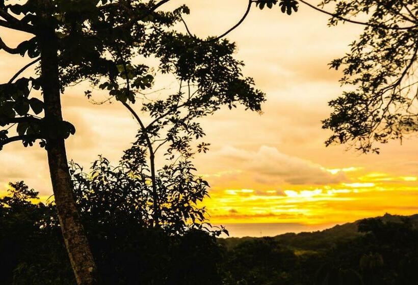 مبيت وإفطار Oasis Uvita