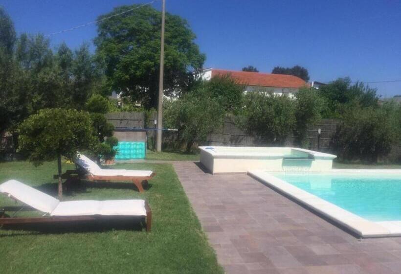 Bed and Breakfast Paraiso