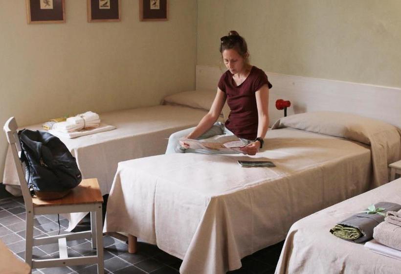 住宿加早餐 Winebikehostel