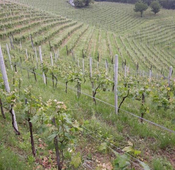 住宿加早餐  Winebikehostel