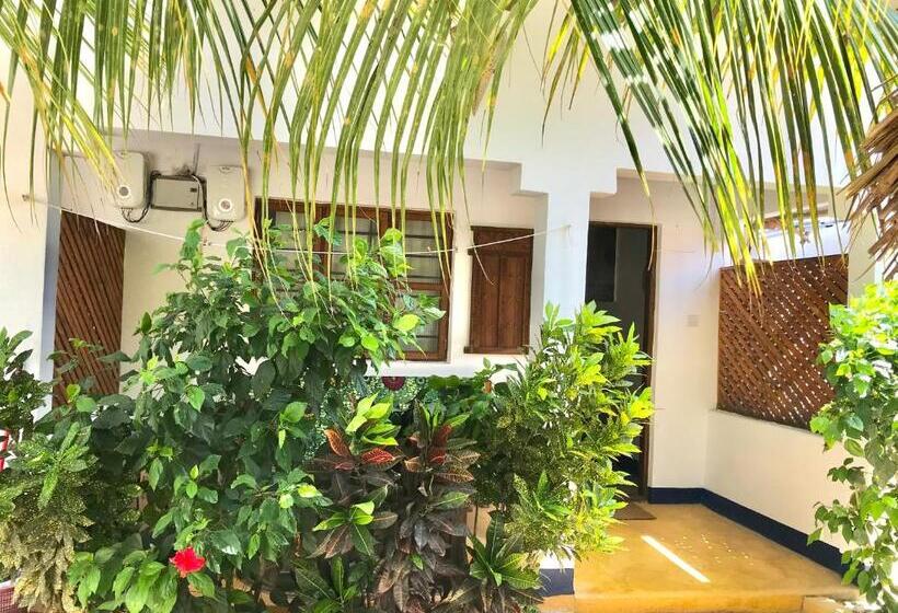 Chikachika Beach B&b