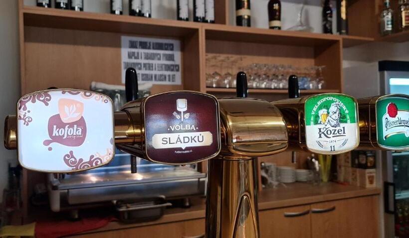 בית מלון כפרי Berounka