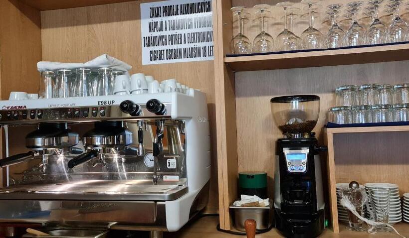 בית מלון כפרי Berounka