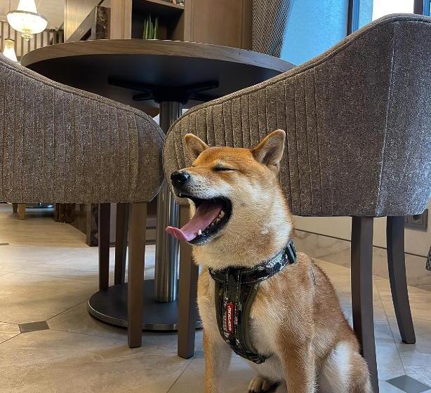 Calvary Hotel & Restaurant Vilnius