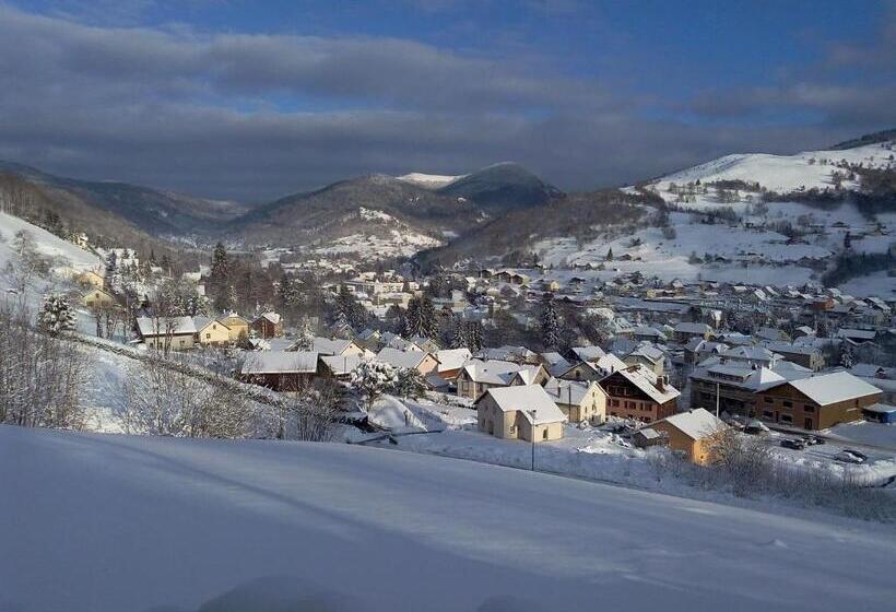 酒店 Hôtel & Spa Du Tremplin