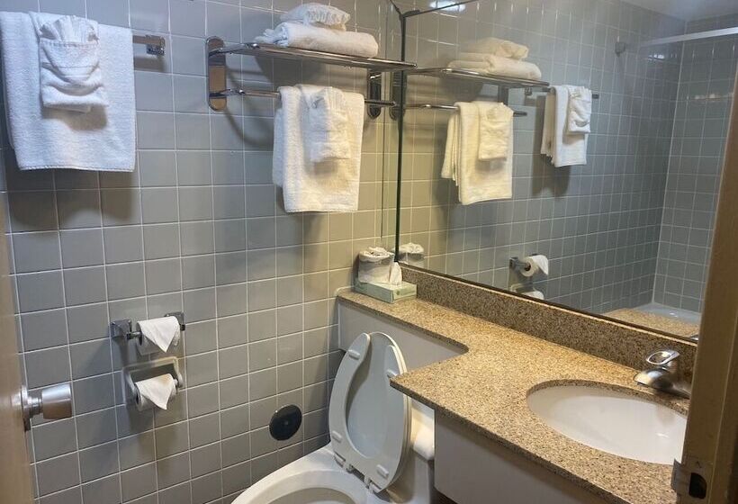 בית מלון כפרי Suburban Studios Buffalo Airport