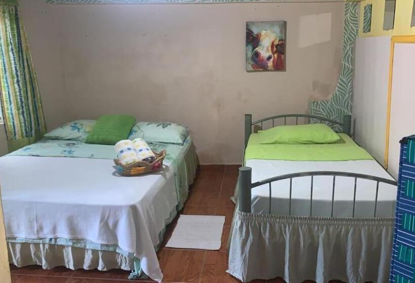 بنسيون Hostal Familiar Villa Nome