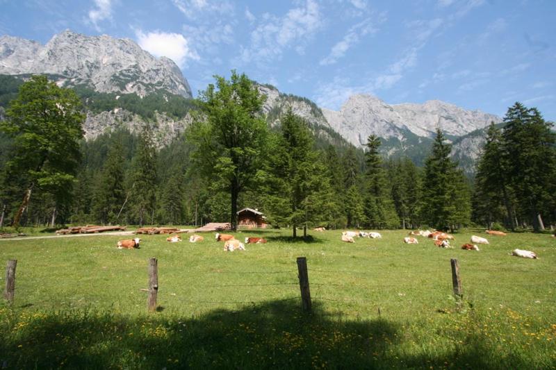 膳宿费 Knotzenlehen