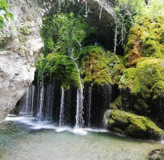 ペンション Palazzo Don Carlo