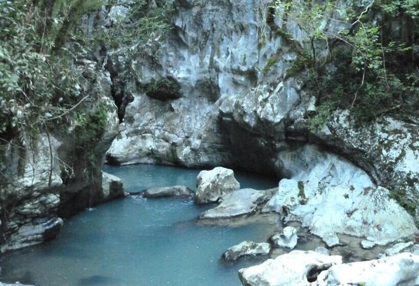 ペンション Palazzo Don Carlo