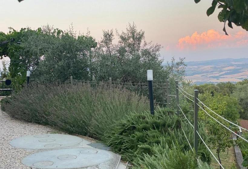 بنسيون Podere Belsogno Bilocale Ulivo