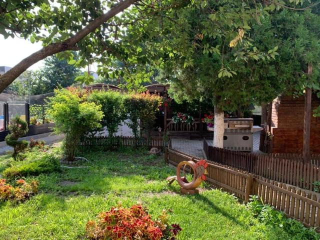 펜션 Relax Spa Costinesti   D Amy