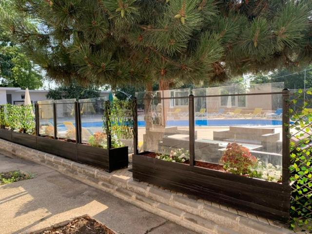 펜션 Relax Spa Costinesti   D Amy