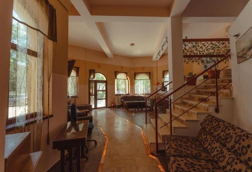 펜션 Relax Spa Costinesti   D Amy