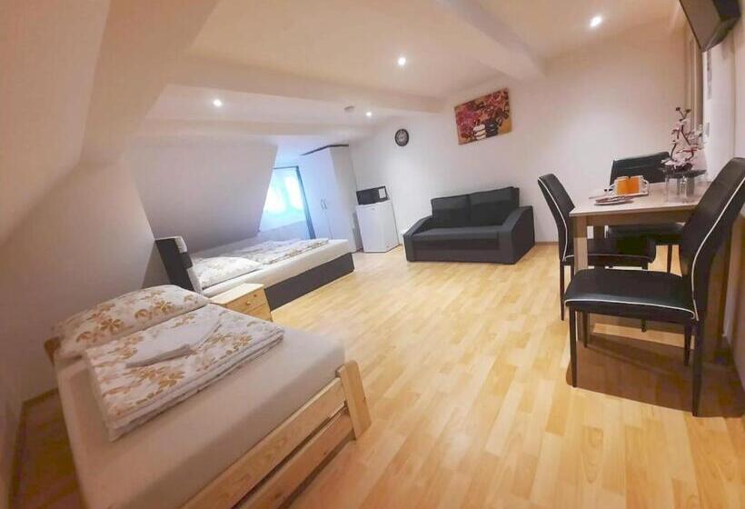 پانسیون Ubytování U Tranů