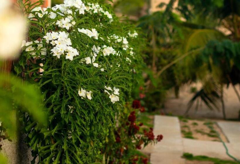 پانسیون Vila Vintém Chalés