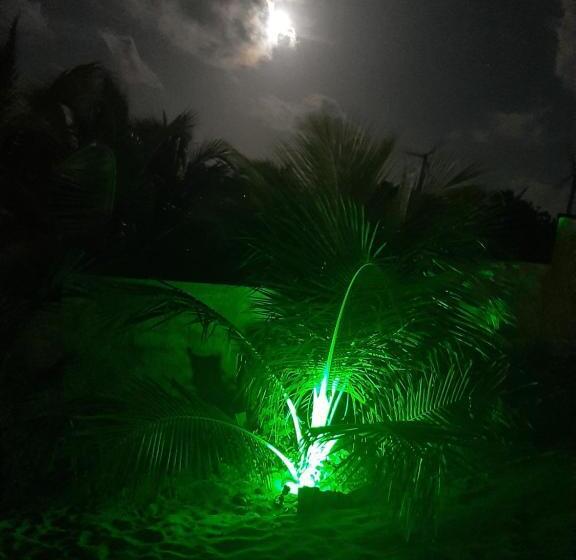 بنسيون Vila Vintém Chalés