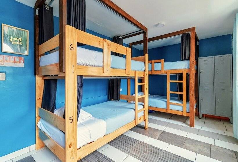 The Secret Garden Hostel