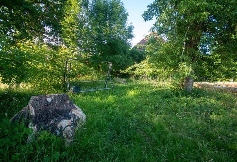 Hostel Oder Ferienwohnung 1 16 Personen Im Blauen Haus