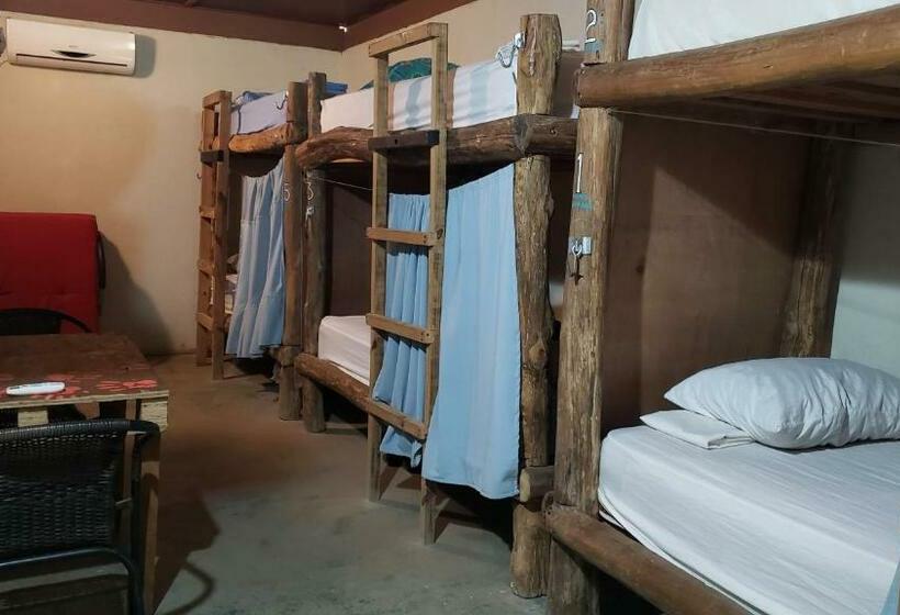 호스텔 Las Porrocas Backpacer's