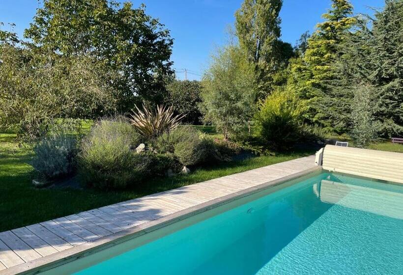 住宿加早餐 Chambres D Hôtes Avec Piscine Et Spa La Folière Saumur