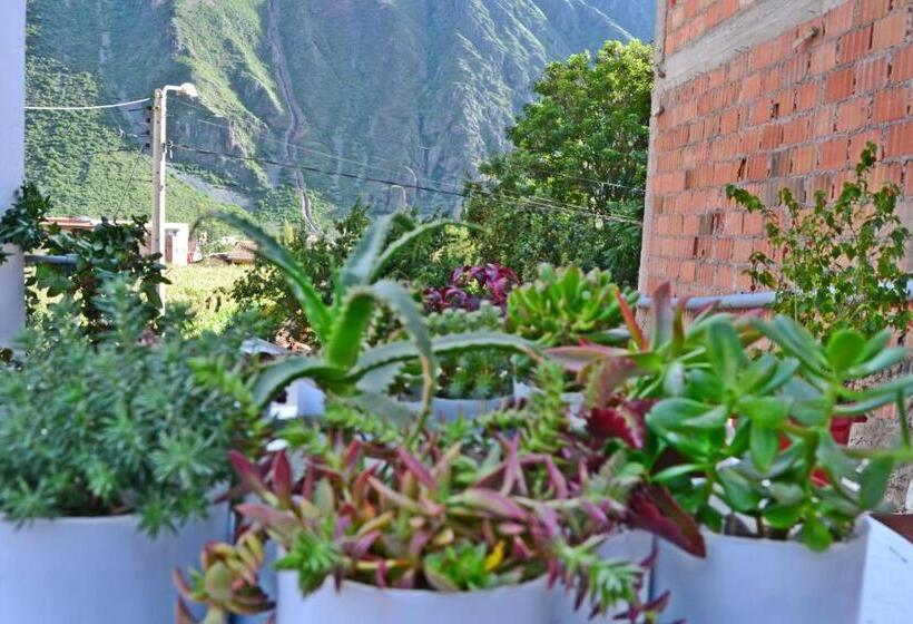 تختخواب و صبحانه Hostal Chaska Wasi