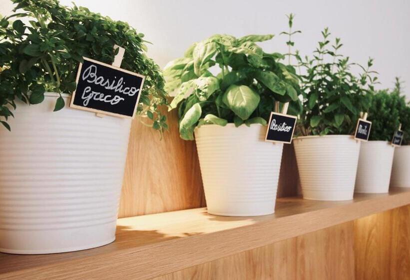 Bed and Breakfast Olivò