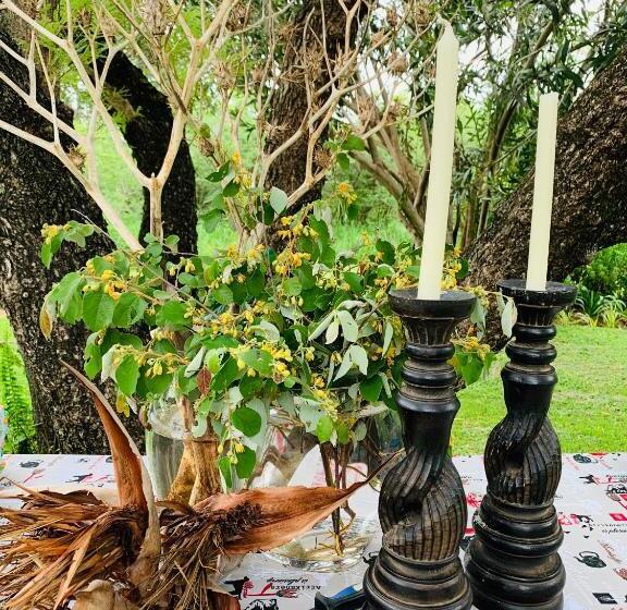 צימר Oppiplasie Guest House & Spa