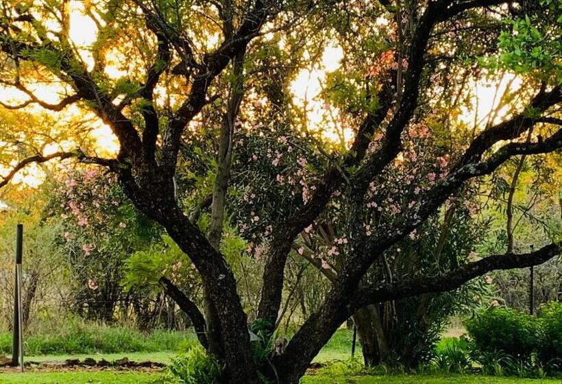 צימר Oppiplasie Guest House & Spa