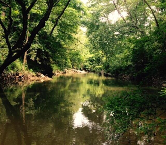 مبيت وإفطار The Guest House