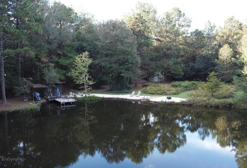 مبيت وإفطار The Guest House