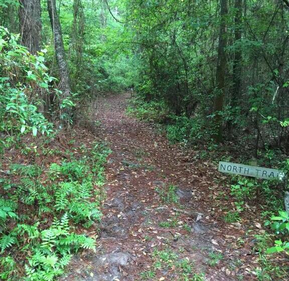 مبيت وإفطار The Guest House