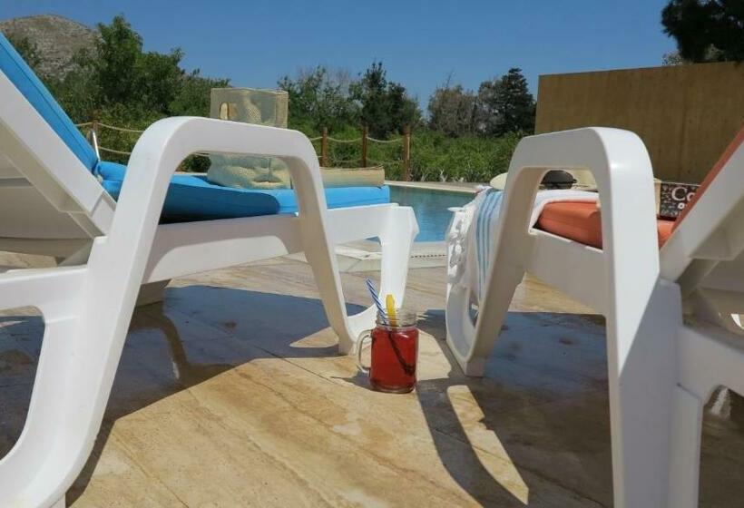 בית מלון כפרי Azure Wellness Retreat