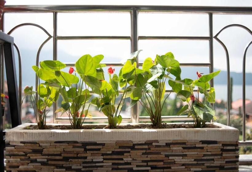 בית מלון כפרי Dedanau