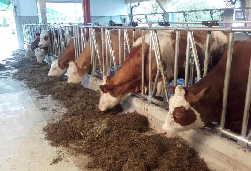 호텔 öderbauer Hof