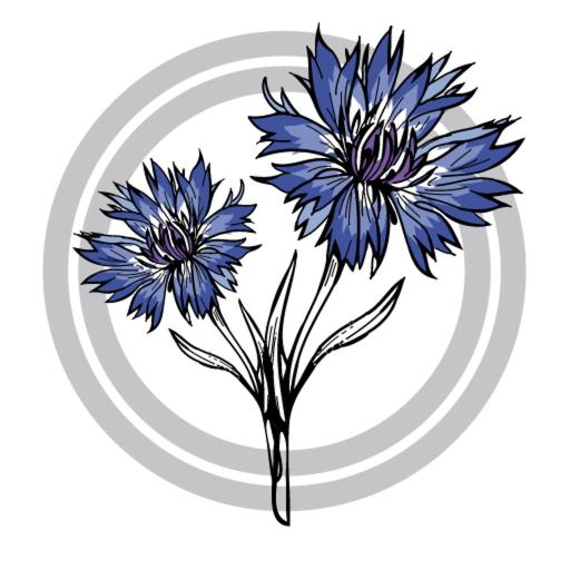 Отель Kornblume