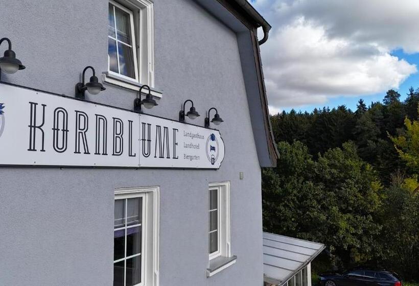 Отель Kornblume