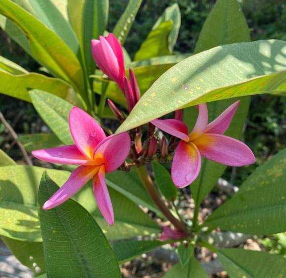 ホテル Lala Land Lodge