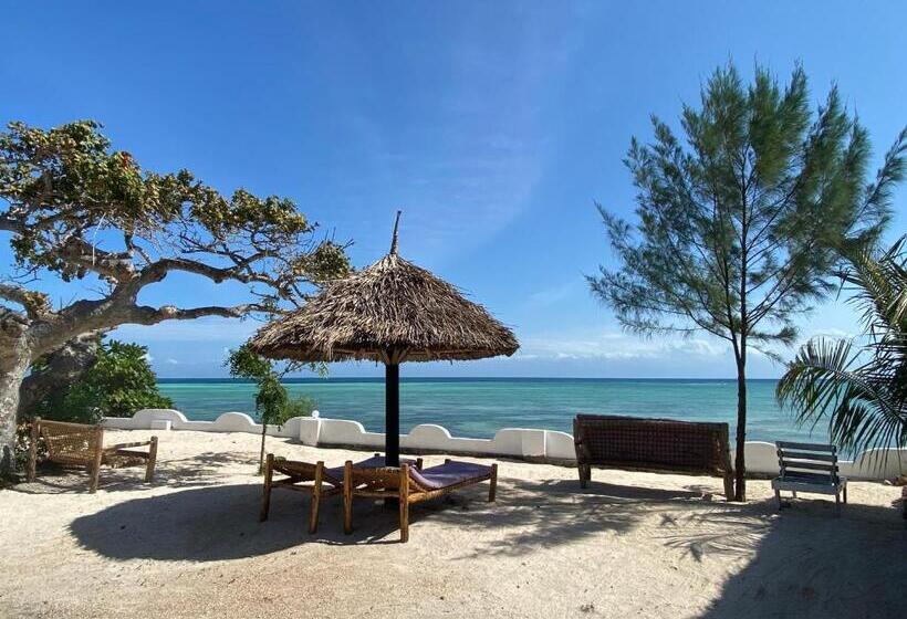 ホテル Lala Land Lodge