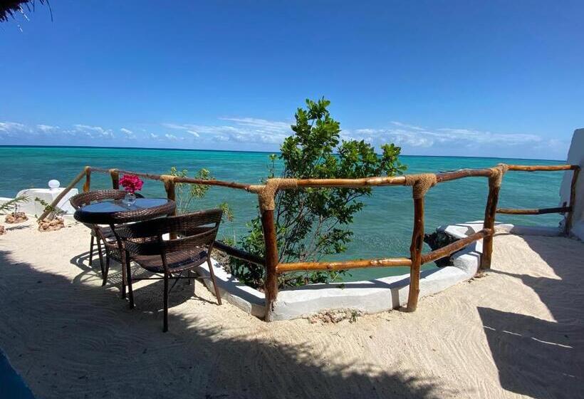 ホテル Lala Land Lodge