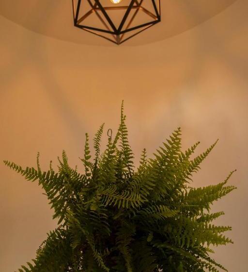 فندق Mirador Johya