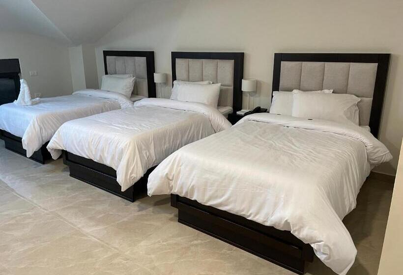 هتل Mizirawi Historic