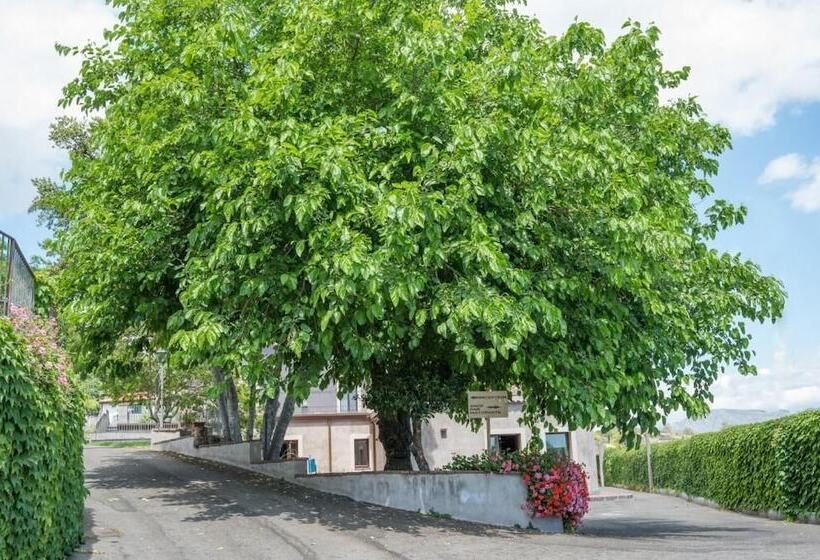 Отель Santoro Country House