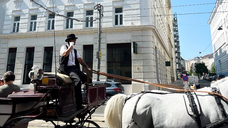 Jimmy S Apartments Emerald