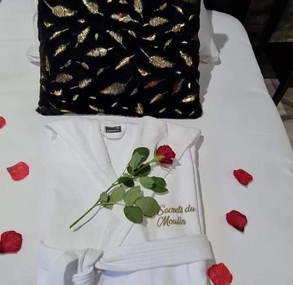 Le Grand Moulin Des Tanneurs B&b Et Love Room